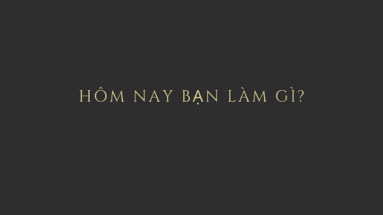 Hôm nay bạn làm gì?