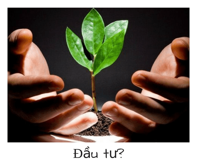 Đầu tư?