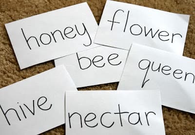 Hướng dẫn học tiếng Anh bằng Flashcard.